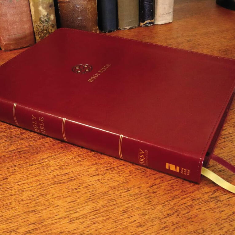 My Bible: NRSVue Leathersoft Link